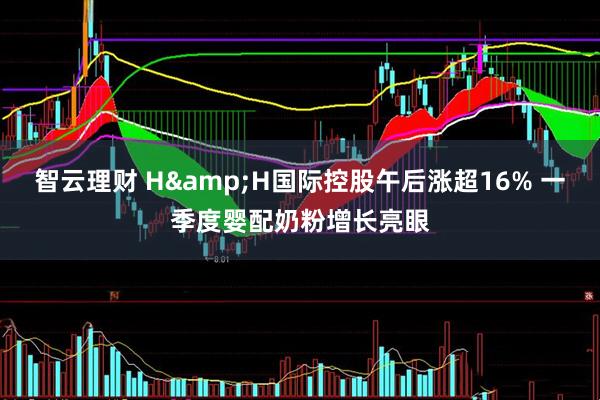 智云理财 H&H国际控股午后涨超16% 一季度婴配奶粉增长亮眼