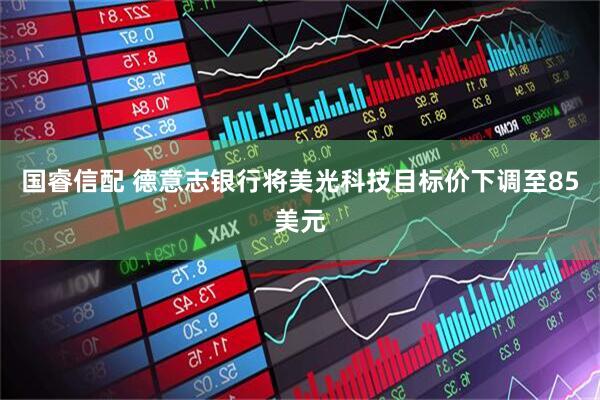 国睿信配 德意志银行将美光科技目标价下调至85美元