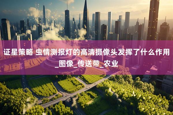 证星策略 虫情测报灯的高清摄像头发挥了什么作用_图像_传送带_农业